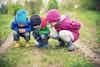 a group of children looking at something in the grass
