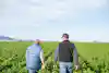 two men walking in a field